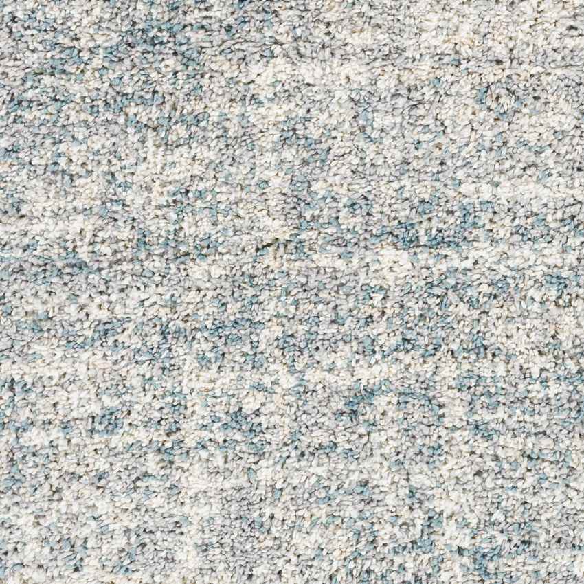 La Rose Modern Aqua Area Rug