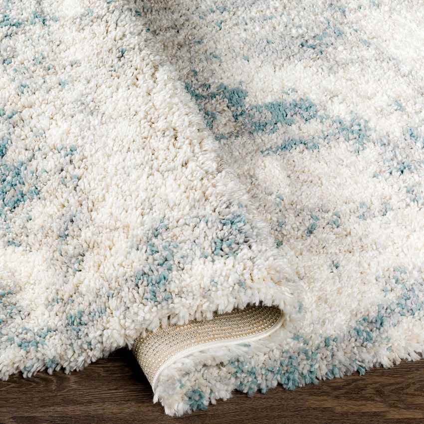Lake Barrington Modern Aqua Area Rug