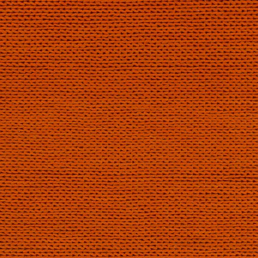 Aaron Modern Burnt Red Area Rug