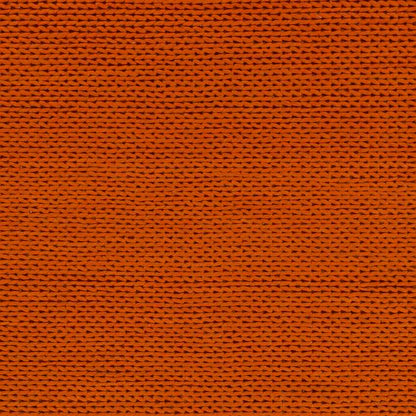 Aaron Modern Burnt Red Area Rug