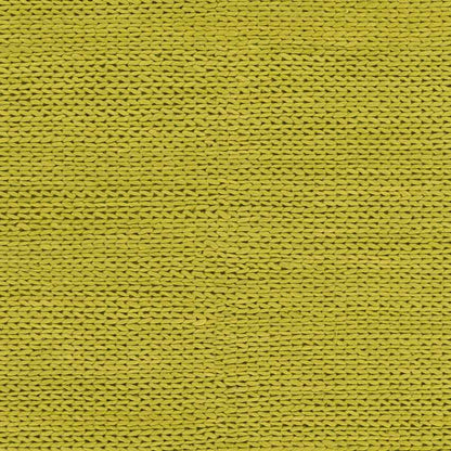 Aaron Modern Lime Area Rug