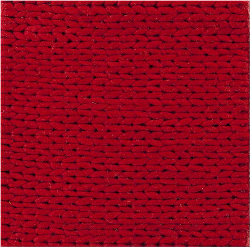 Aaron Modern Venetian Red Area Rug
