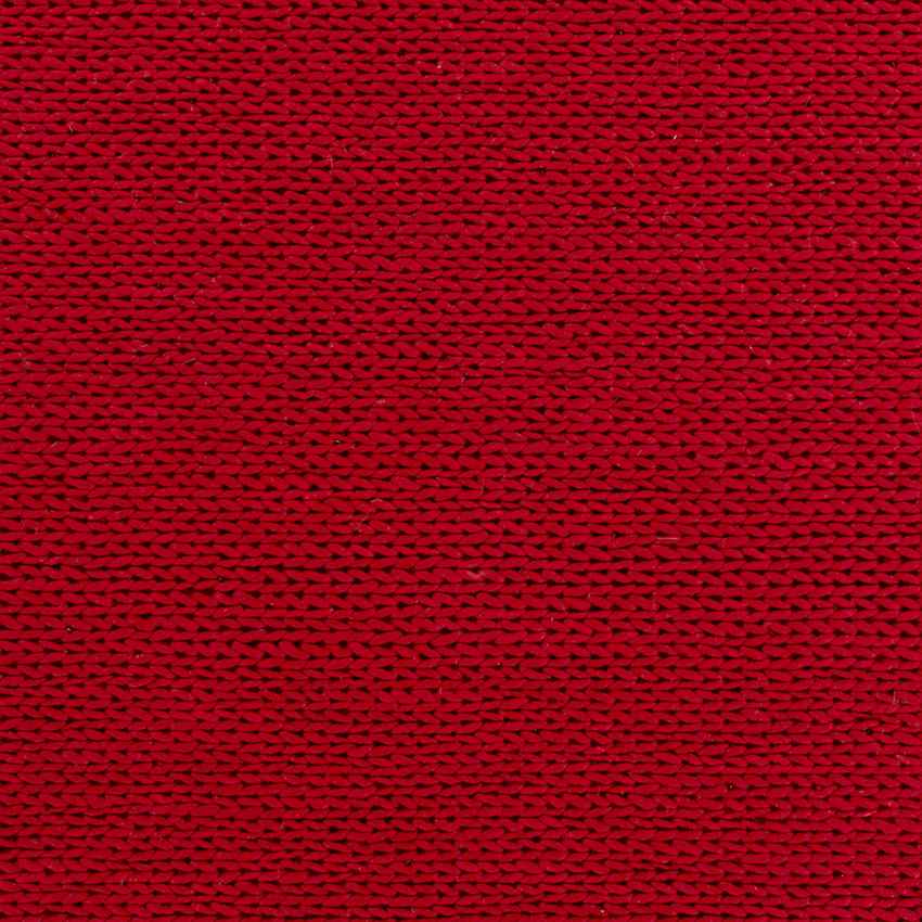 Aaron Modern Venetian Red Area Rug