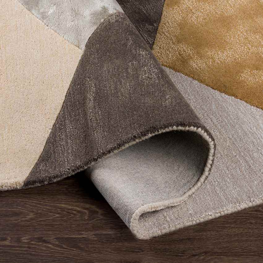 Machesney Park Modern Camel Area Rug