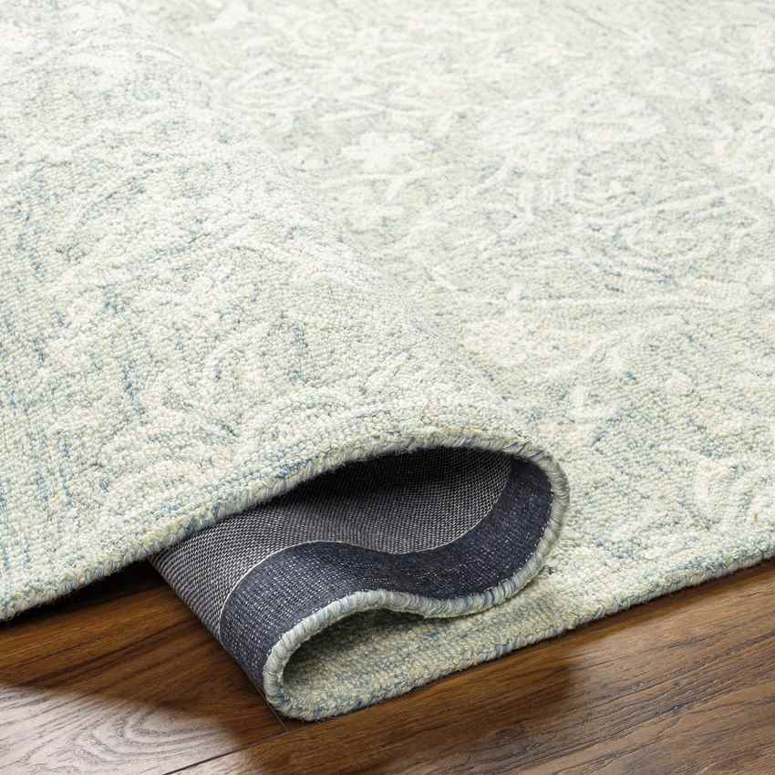 Oldenburg Traditional Light Green Area Rug