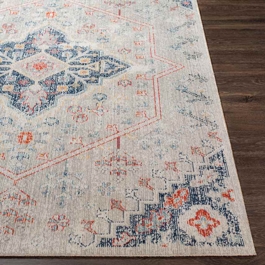 Bunker Hill Global Taupe Area Rug