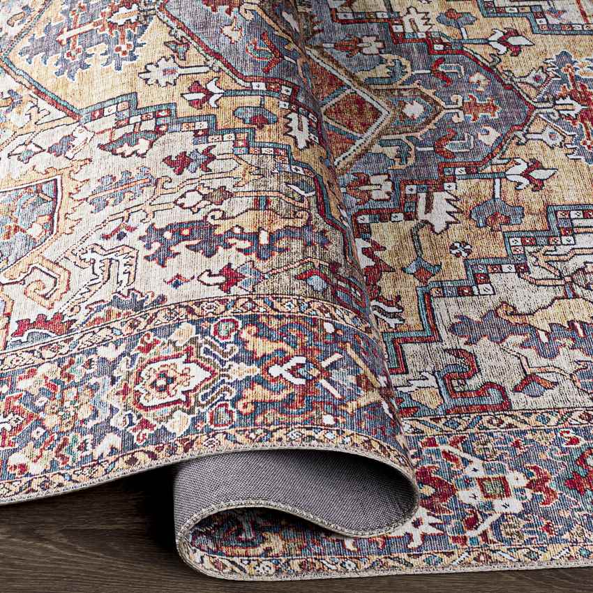 Manche Traditional Burnt Orange Area Rug