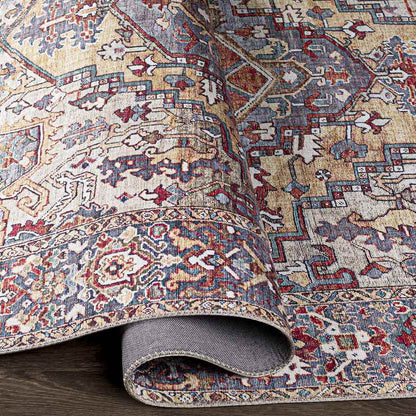 Manche Traditional Burnt Orange Area Rug