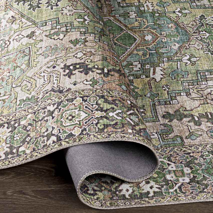 Manche Traditional Dark Green Area Rug