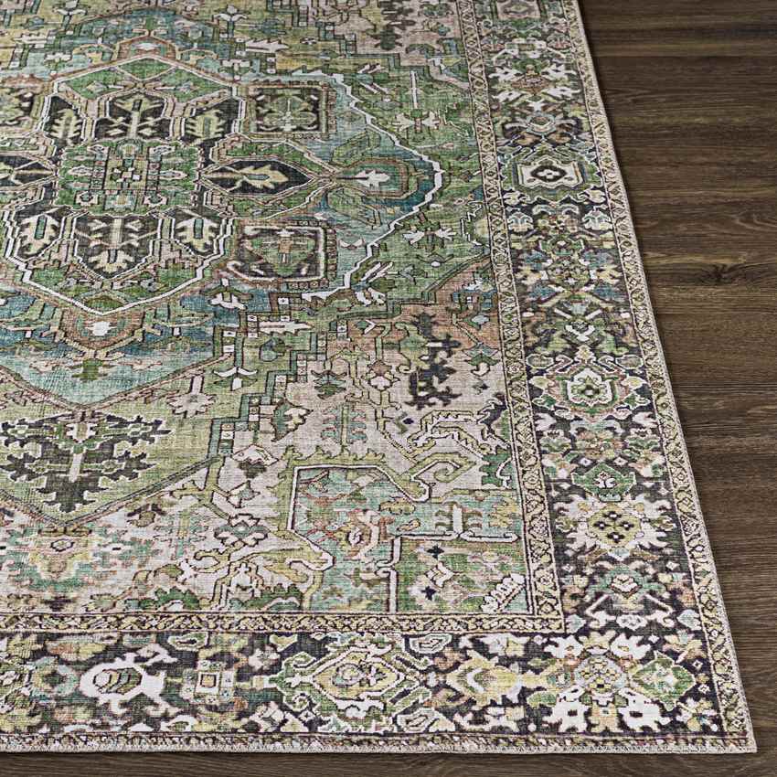 Manche Traditional Dark Green Area Rug