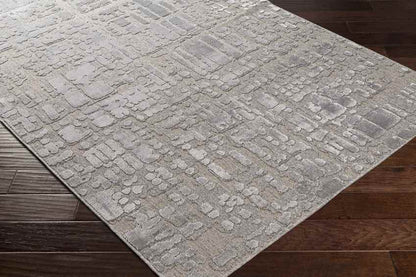 Kewanna Modern Silver Gray Area Rug
