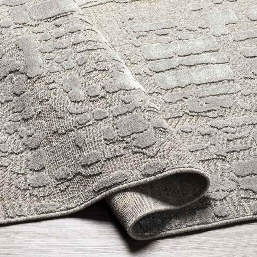 Kewanna Modern Silver Gray Area Rug