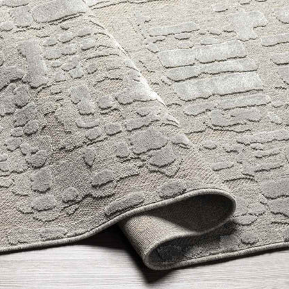 Kewanna Modern Silver Gray Area Rug