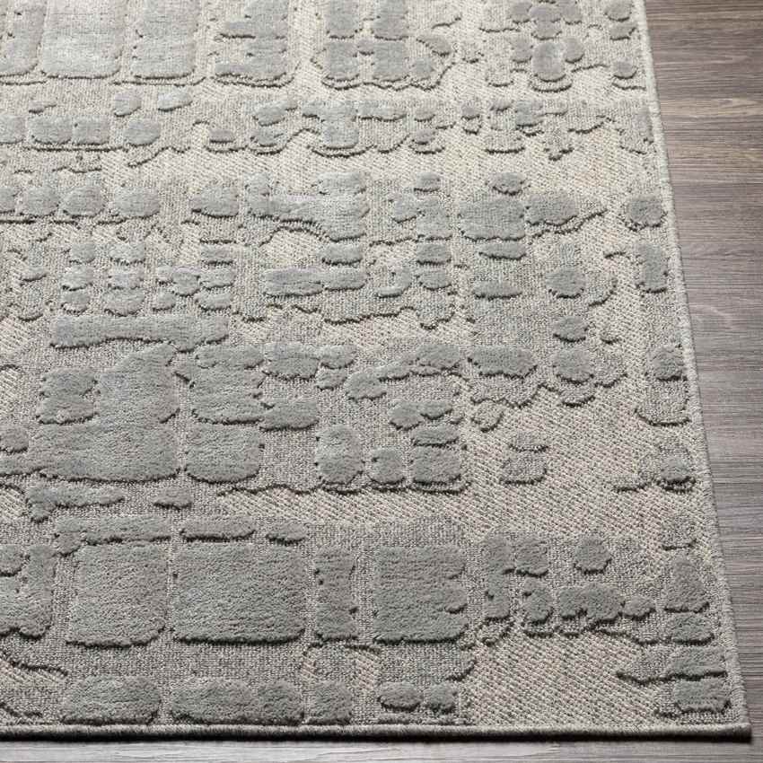 Kewanna Modern Silver Gray Area Rug