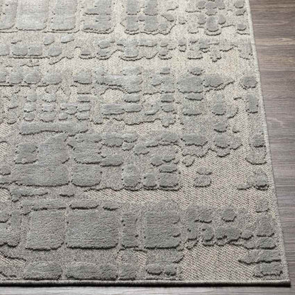 Kewanna Modern Silver Gray Area Rug
