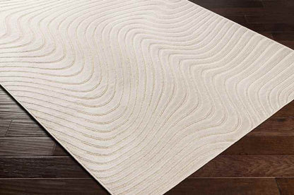 Kirklin Modern Beige Area Rug