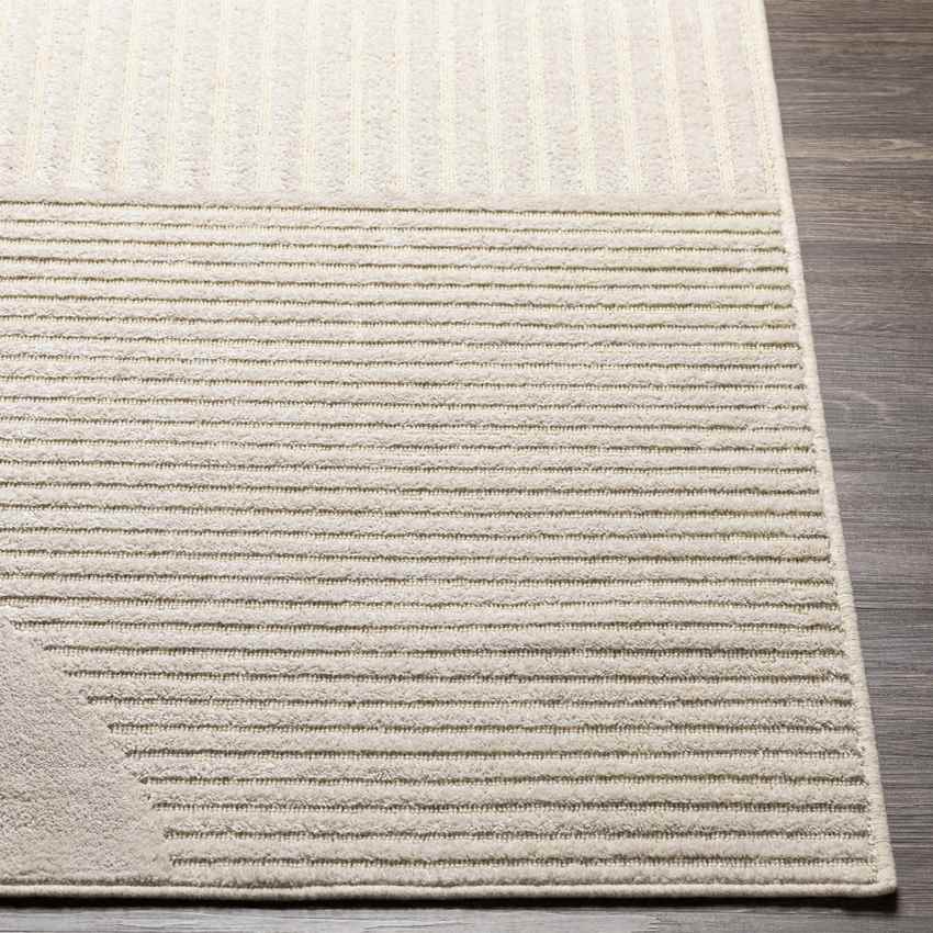 Kouts Modern Beige Area Rug