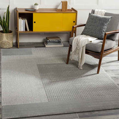 Laconia Modern Medium Gray Area Rug