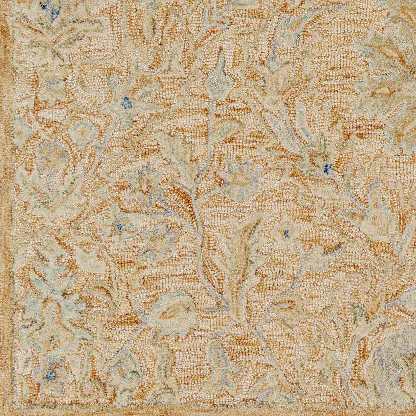 East Chicago Traditional Burnt Orange Area Rug