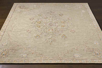 Logansport Traditional Beige Area Rug