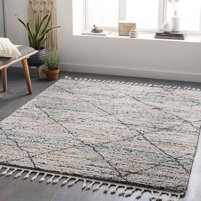 Napoleon Global Charcoal Area Rug