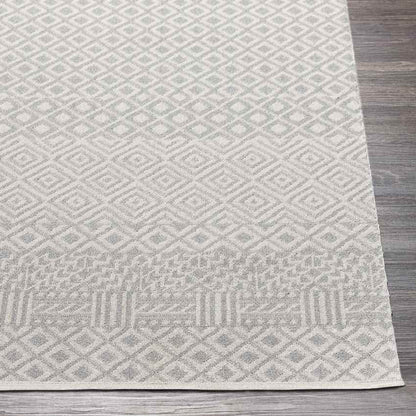 Waynetown Global Gray Washable Area Rug