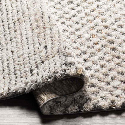New Point Modern Ivory Area Rug