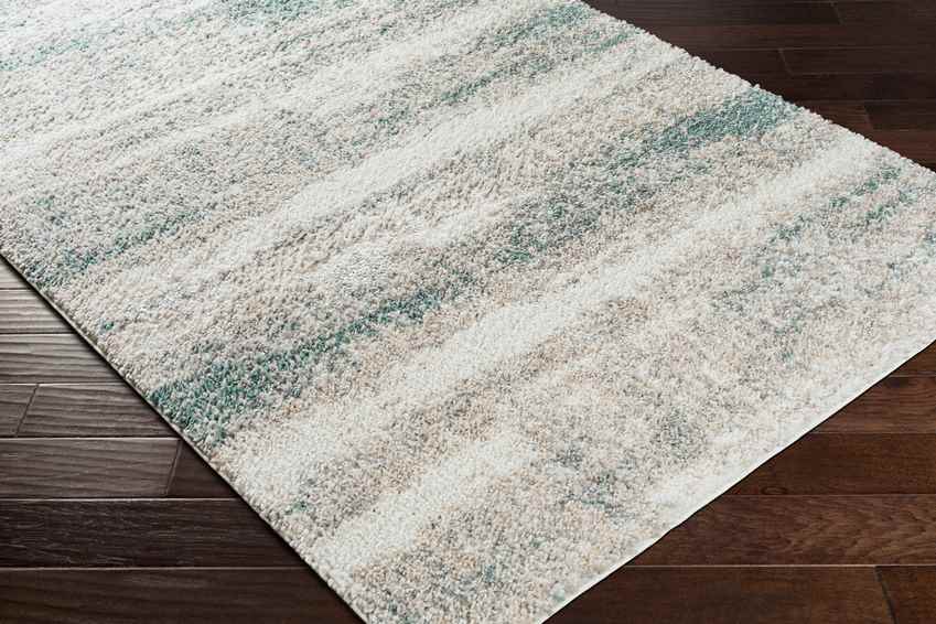 Le Roy Modern Aqua Area Rug