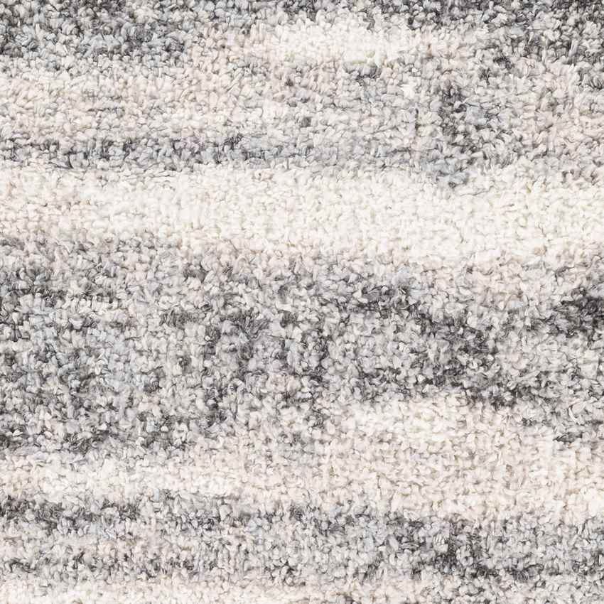 Le Roy Modern Charcoal Area Rug
