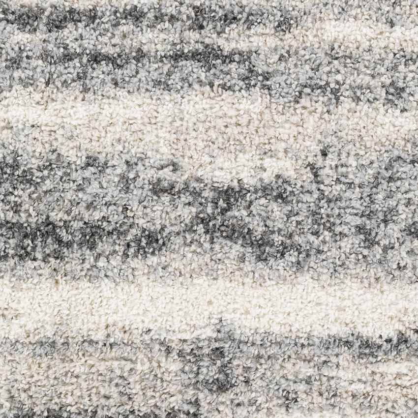Leland Grove Modern Charcoal Area Rug