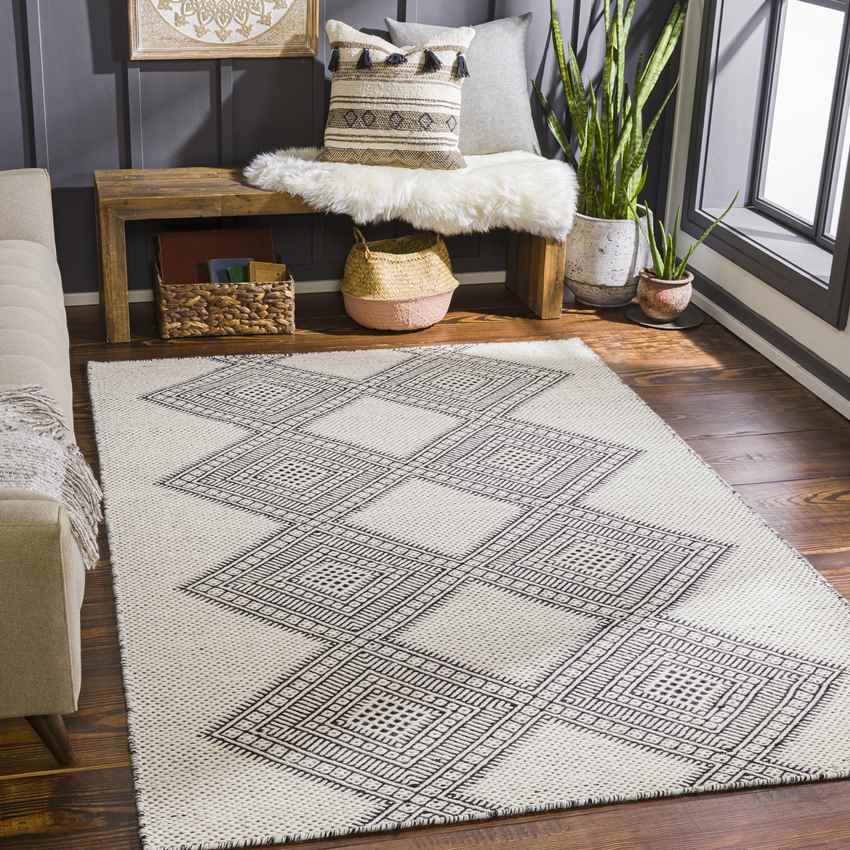 Spring Bay Global Dark Gray Area Rug