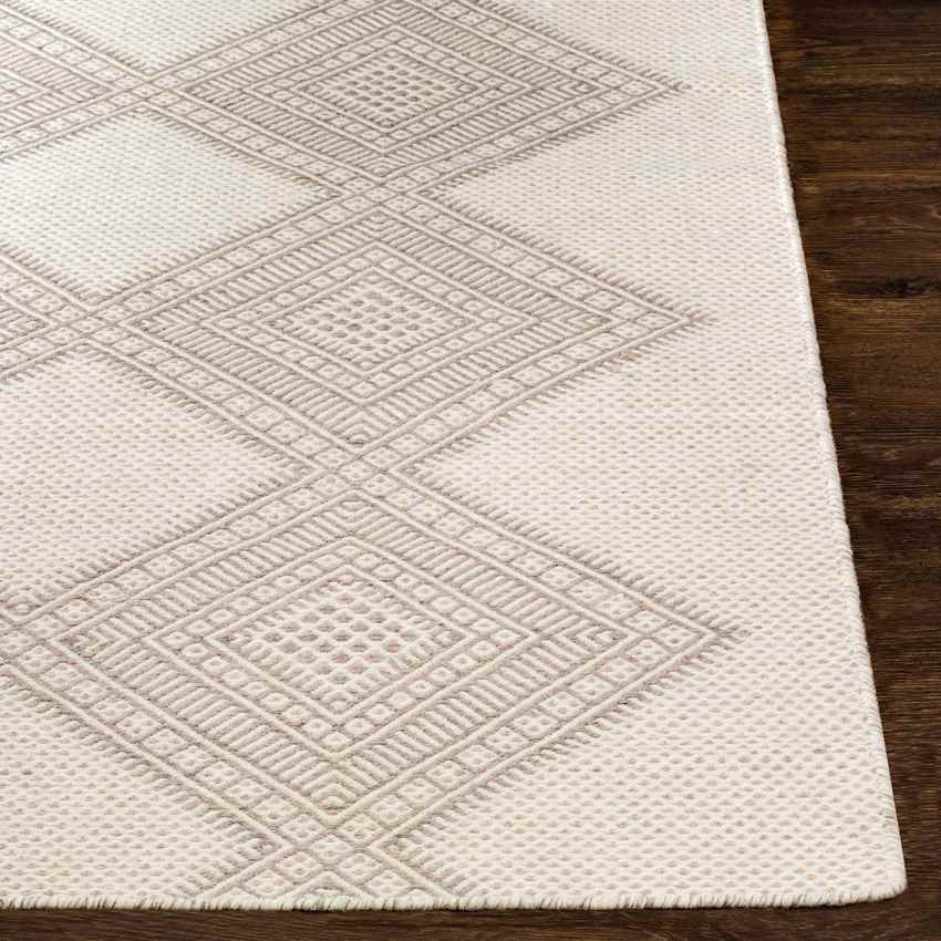 Spring Bay Global Beige Area Rug