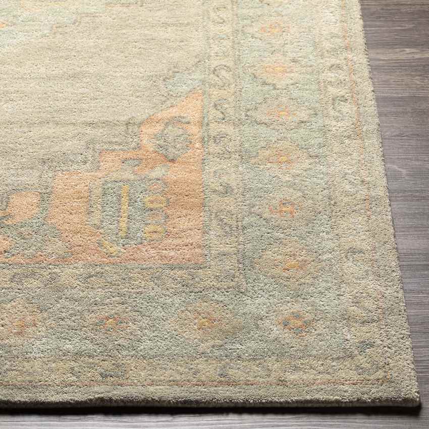 Portage Traditional Sage Area Rug
