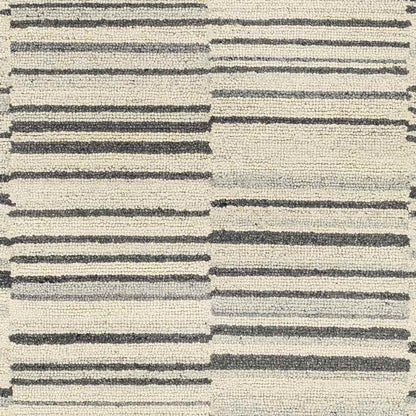 Shipshewana Modern Beige Area Rug