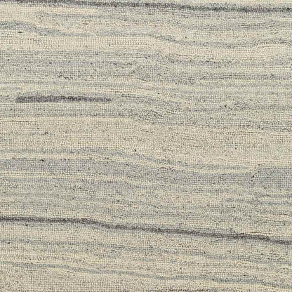 Rudd Modern Beige Area Rug