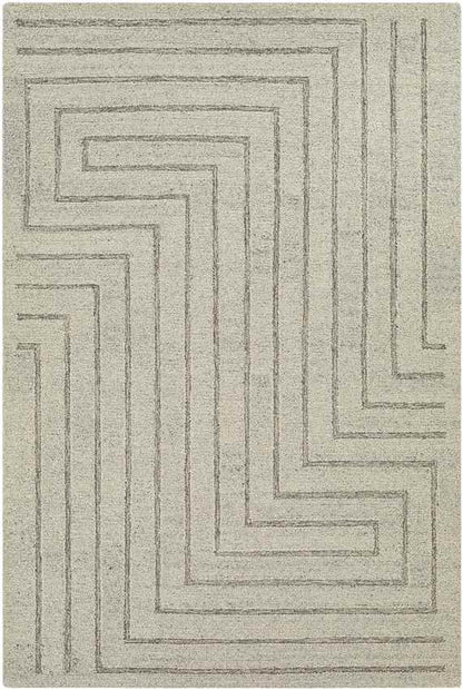 Springport Modern Light Gray Area Rug