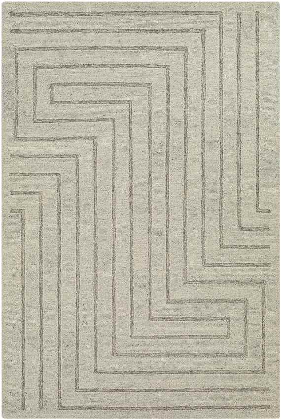 Springport Modern Light Gray Area Rug