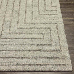 Springport Modern Light Gray Area Rug
