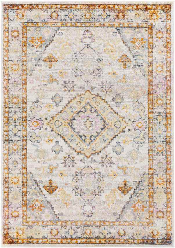 Grand Tower Traditional Tangerine Area Rug