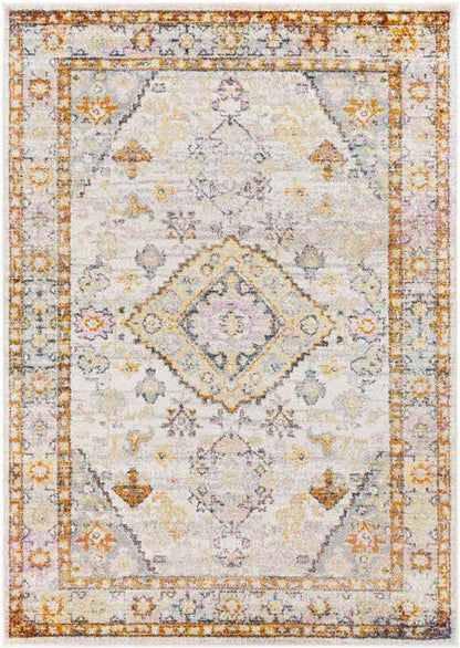 Grand Tower Traditional Tangerine Area Rug