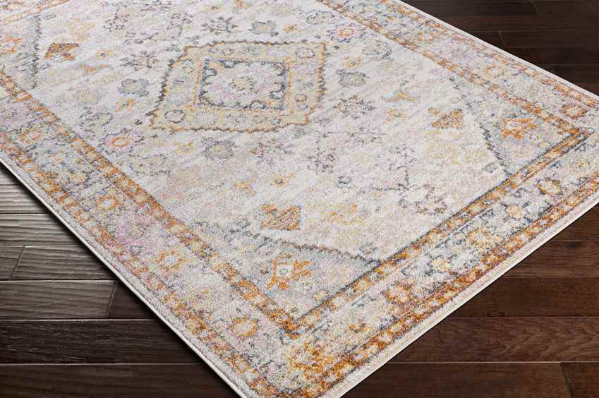 Grand Tower Traditional Tangerine Area Rug
