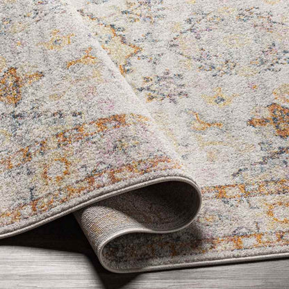 Grand Tower Traditional Tangerine Area Rug