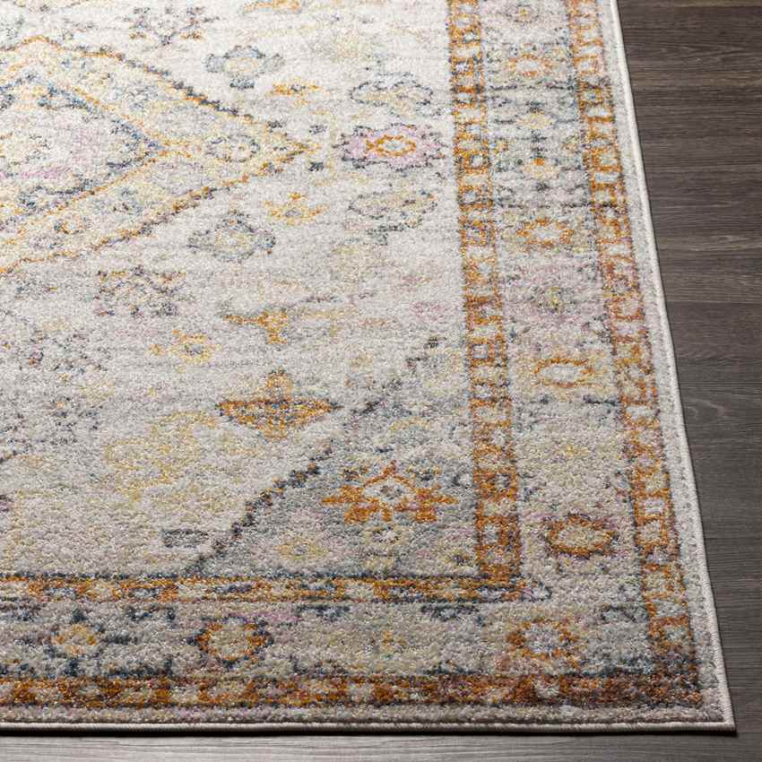 Grand Tower Traditional Tangerine Area Rug