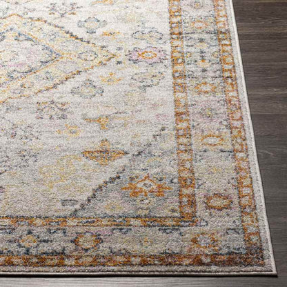 Grand Tower Traditional Tangerine Area Rug