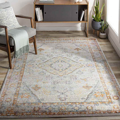 Grand Tower Traditional Tangerine Area Rug