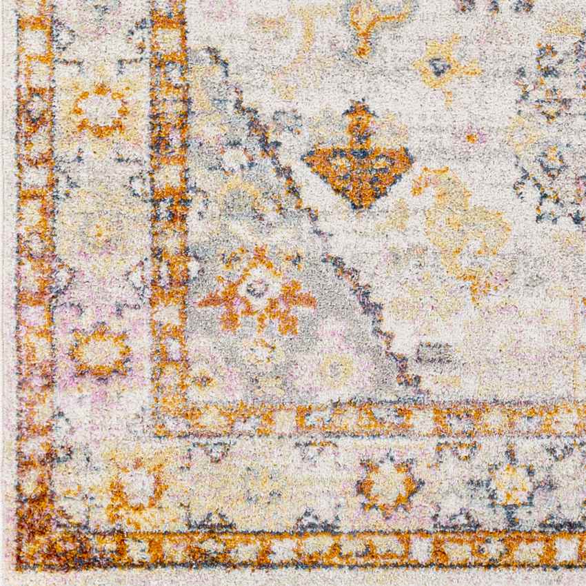 Grand Tower Traditional Tangerine Area Rug