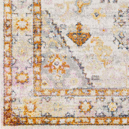 Grand Tower Traditional Tangerine Area Rug