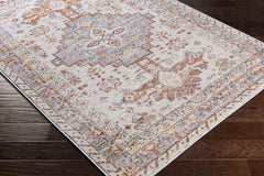 Hoyt Traditional Burnt Orange Area Rug