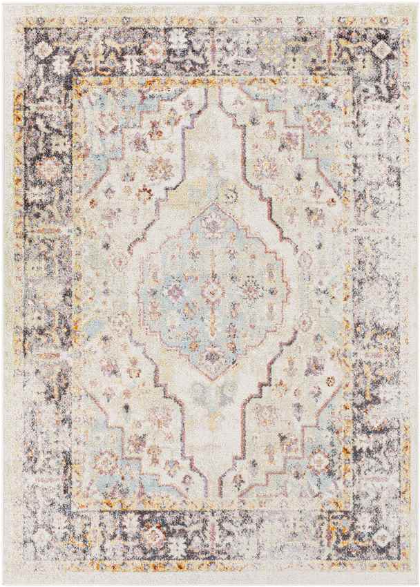 Hanover Park Traditional Beige Area Rug
