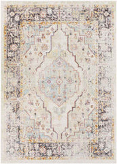 Hanover Park Traditional Beige Area Rug